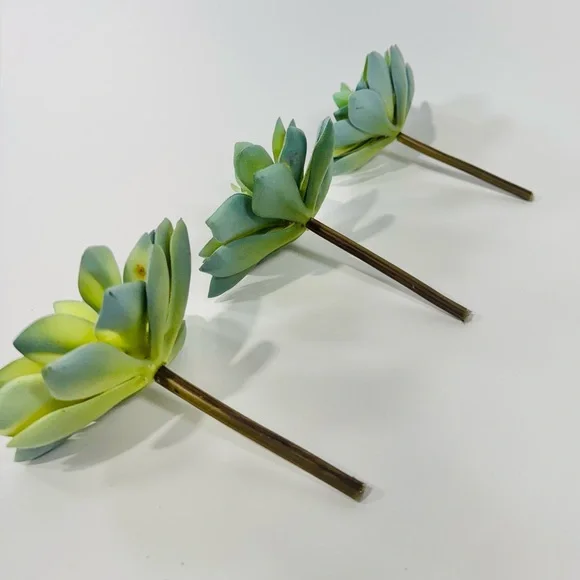Faux Succulents (3x) - Picture 8 of 9